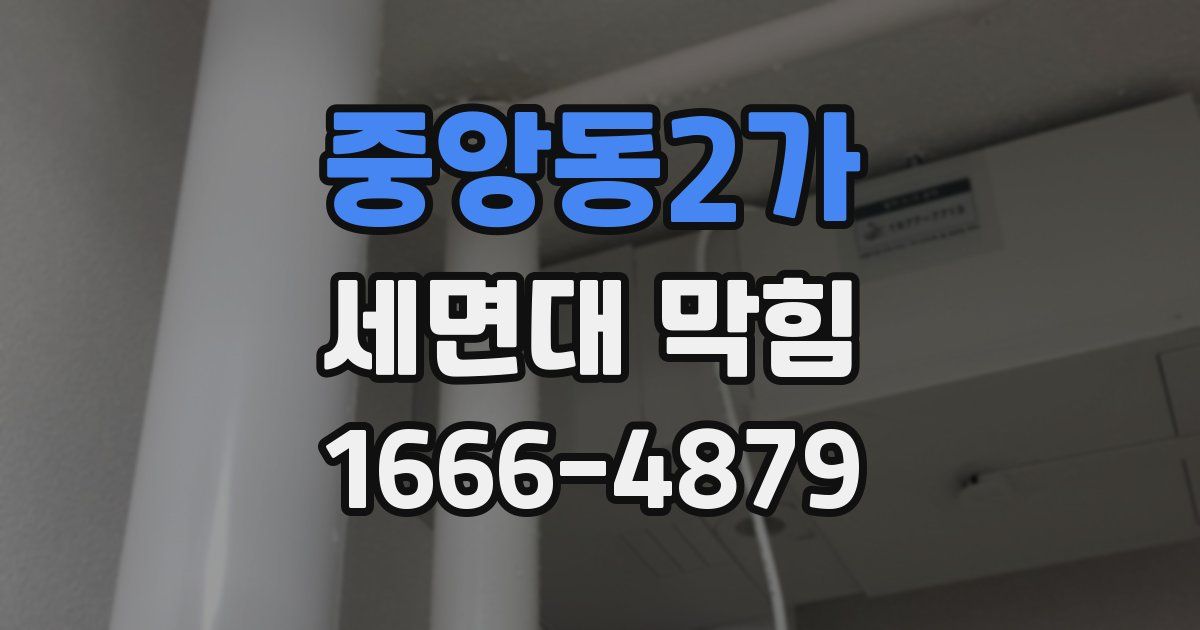 중앙동2가 세면대 막힘