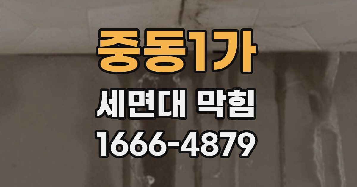 중동1가 세면대 막힘