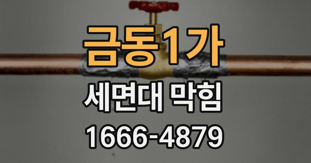 금동1가 세면대 막힘