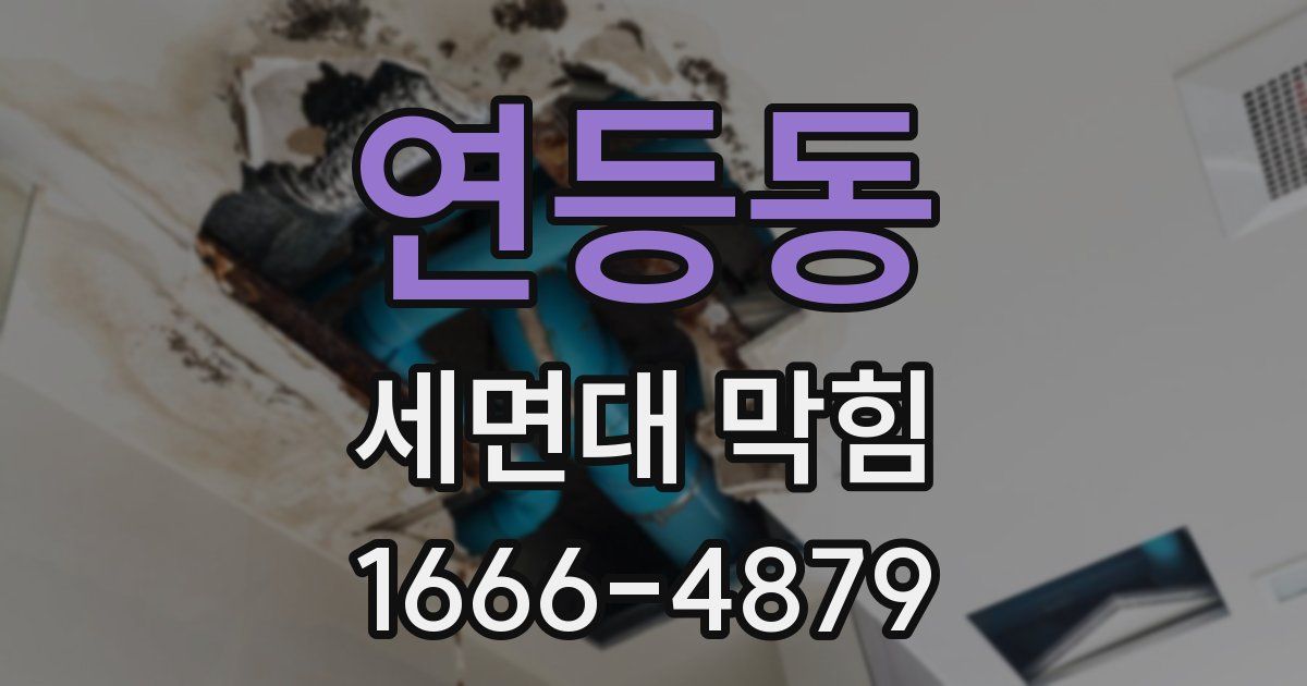 연등동 세면대 막힘