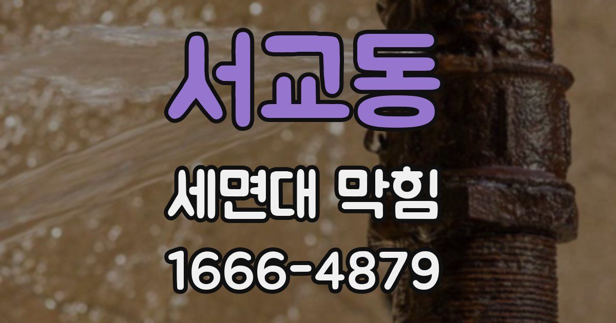 서교동 세면대 막힘