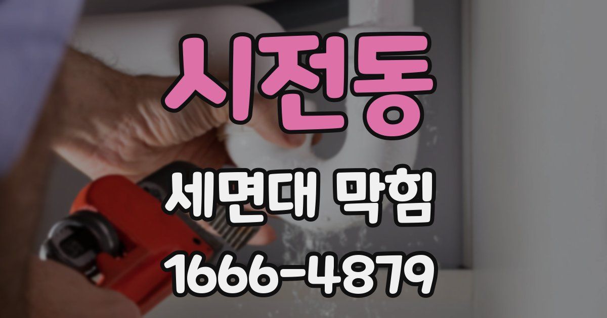 시전동 세면대 막힘