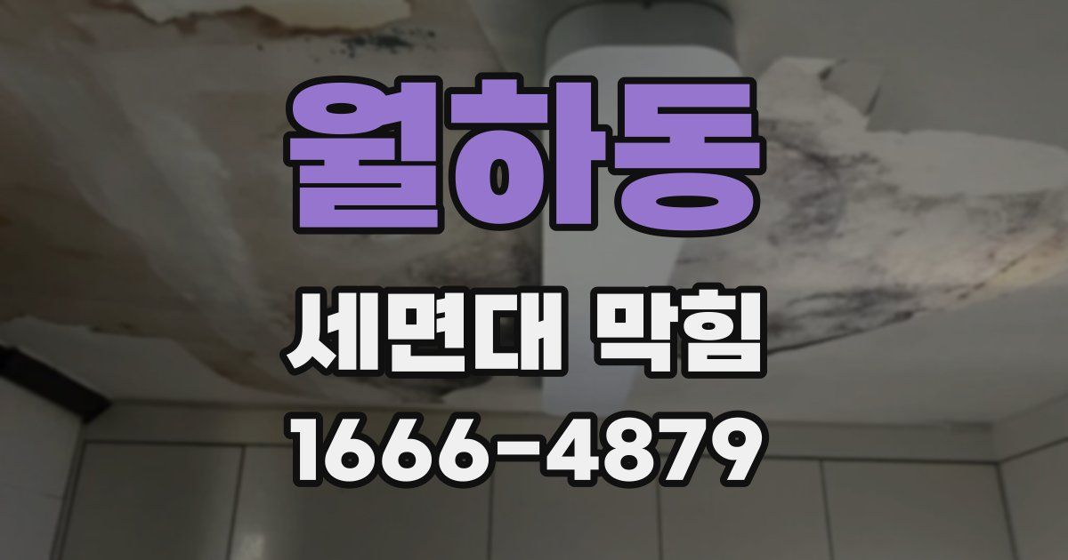 월하동 세면대 막힘