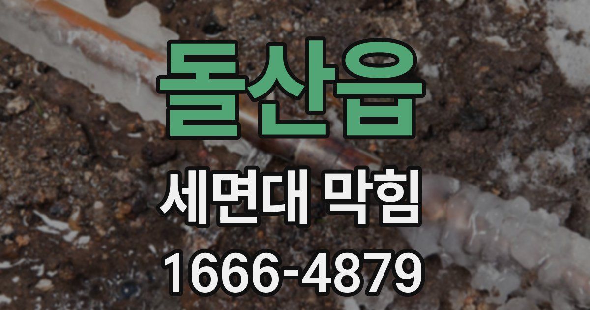 돌산읍 세면대 막힘