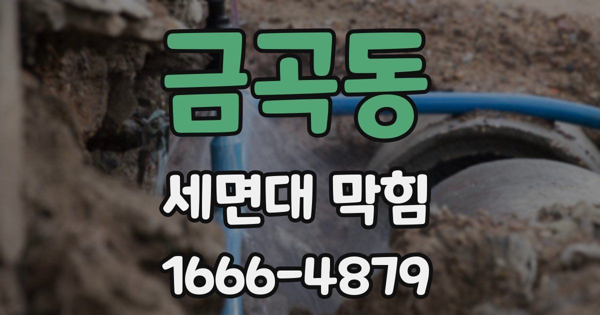 금곡동 세면대 막힘