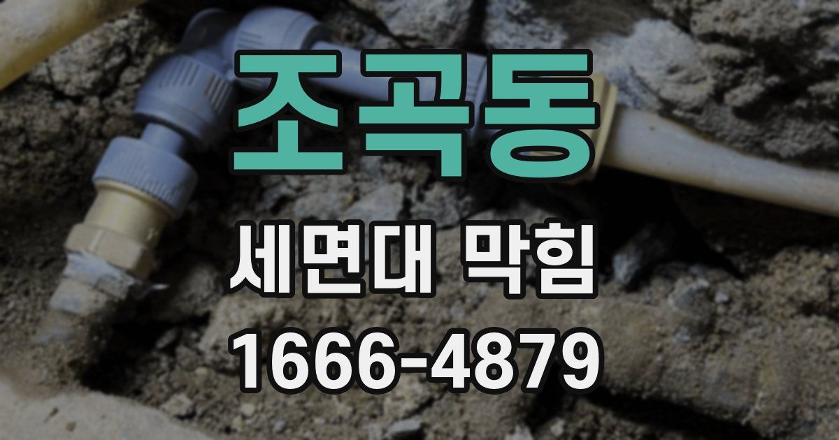 조곡동 세면대 막힘