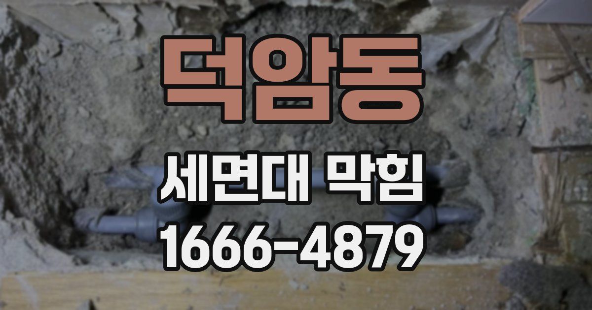 덕암동 세면대 막힘
