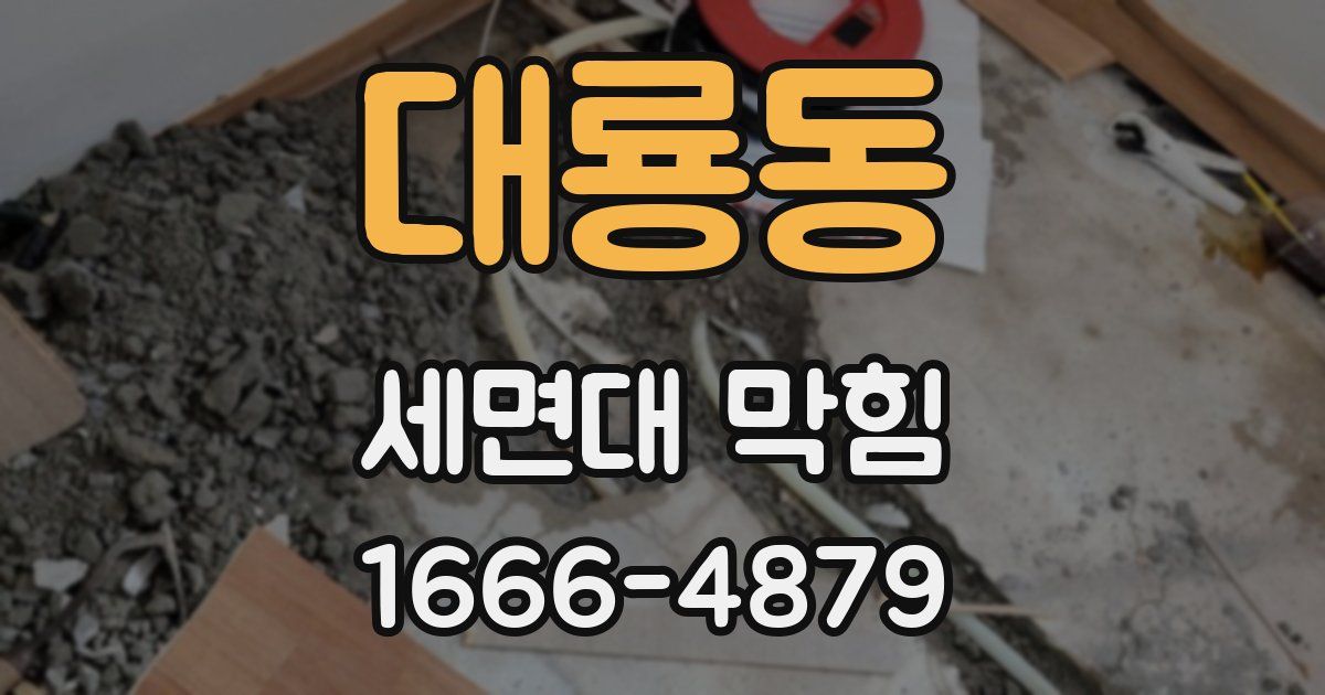 대룡동 세면대 막힘