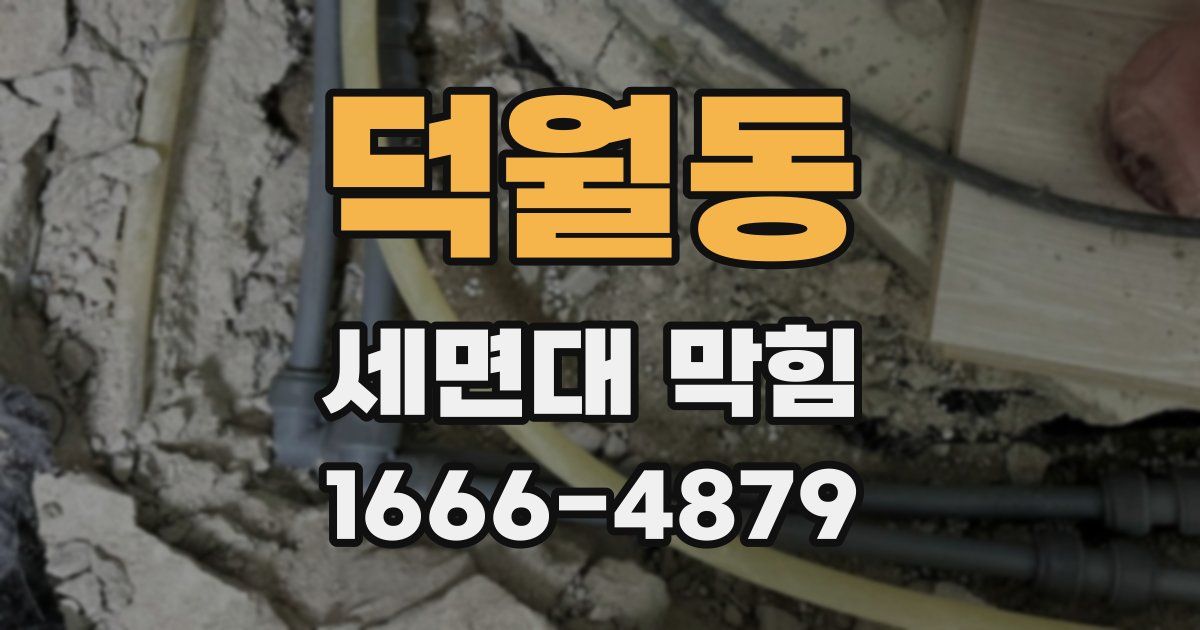 덕월동 세면대 막힘