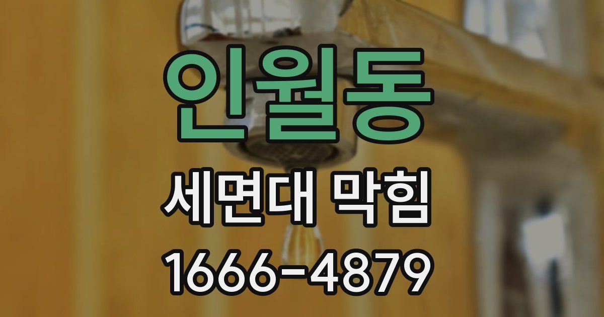 인월동 세면대 막힘