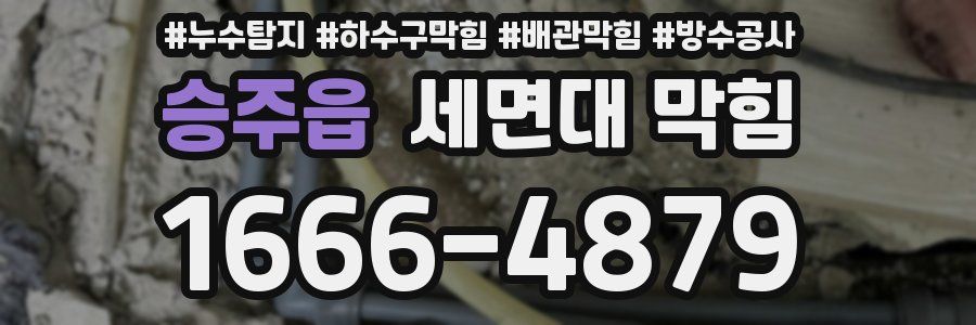 승주읍 세면대 막힘