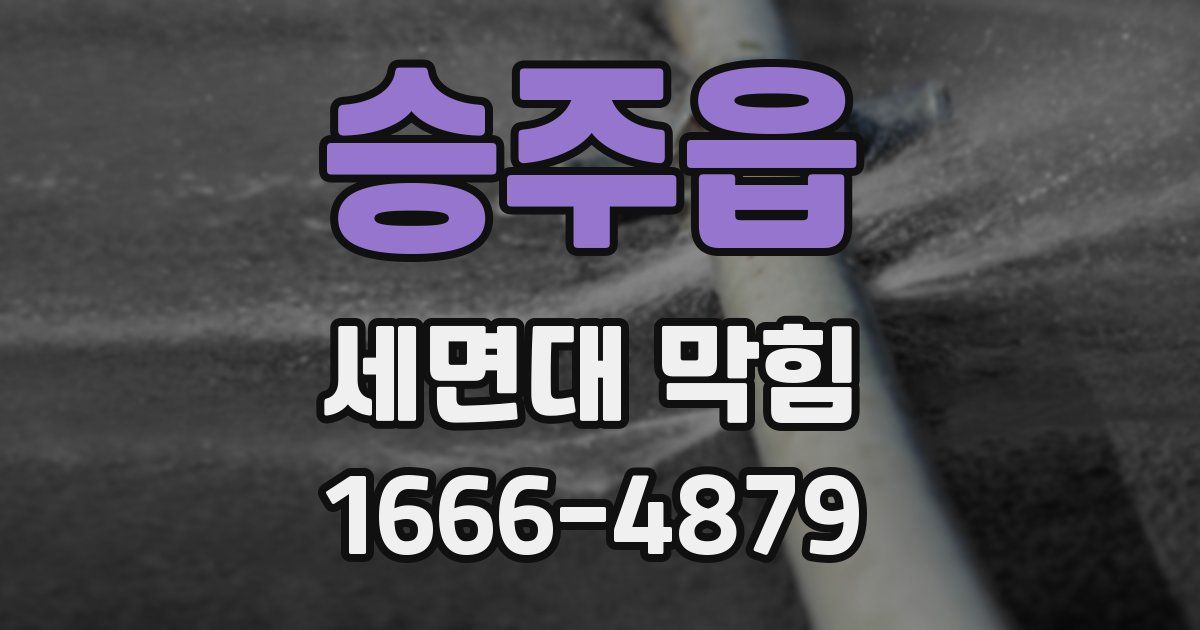 승주읍 세면대 막힘