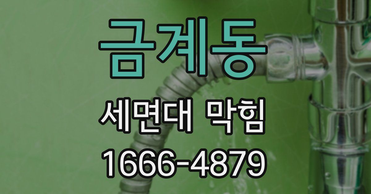 금계동 세면대 막힘