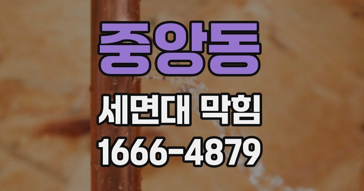 중앙동 세면대 막힘