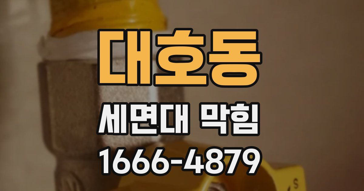 대호동 세면대 막힘