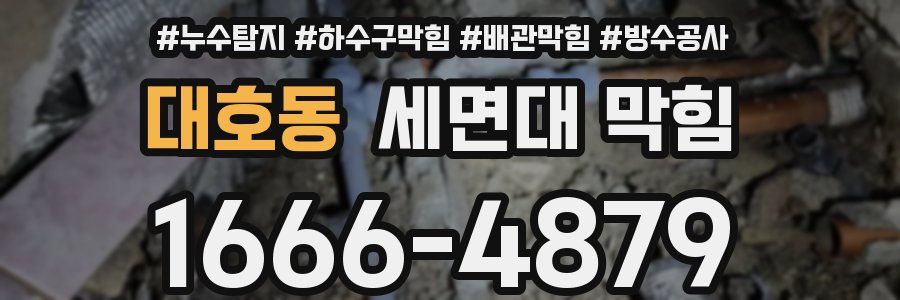 대호동 세면대 막힘