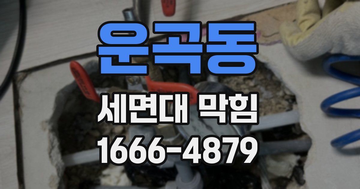 운곡동 세면대 막힘