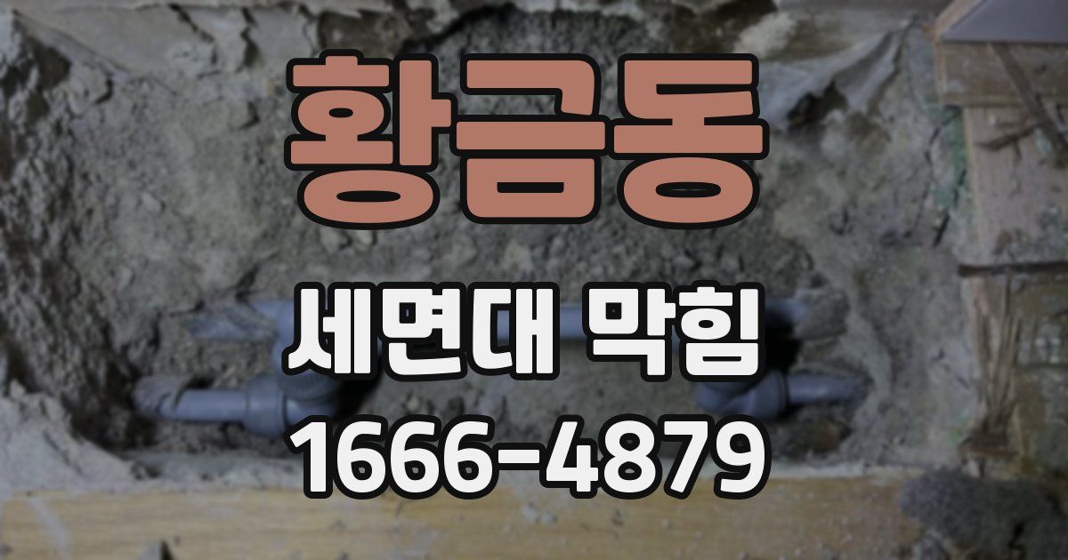 황금동 세면대 막힘