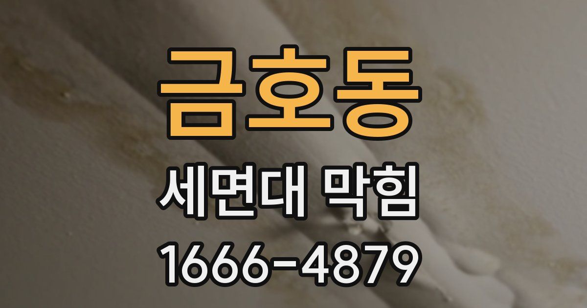 금호동 세면대 막힘