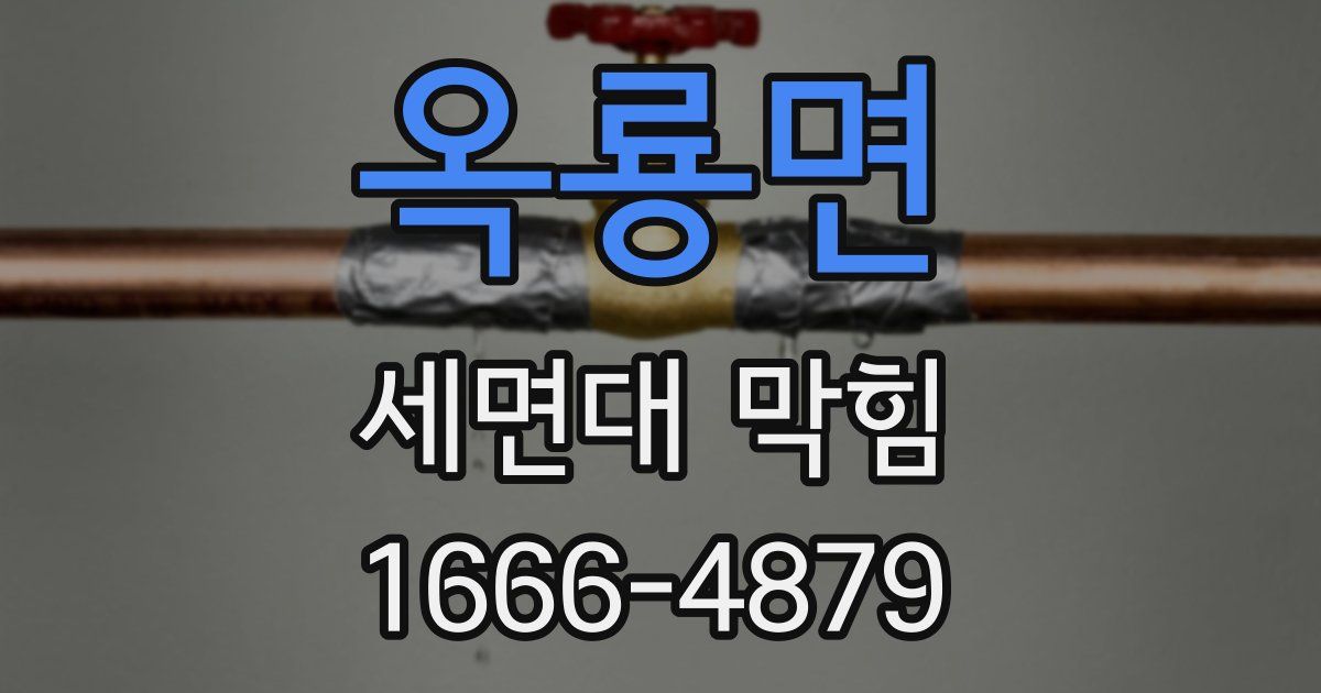 옥룡면 세면대 막힘