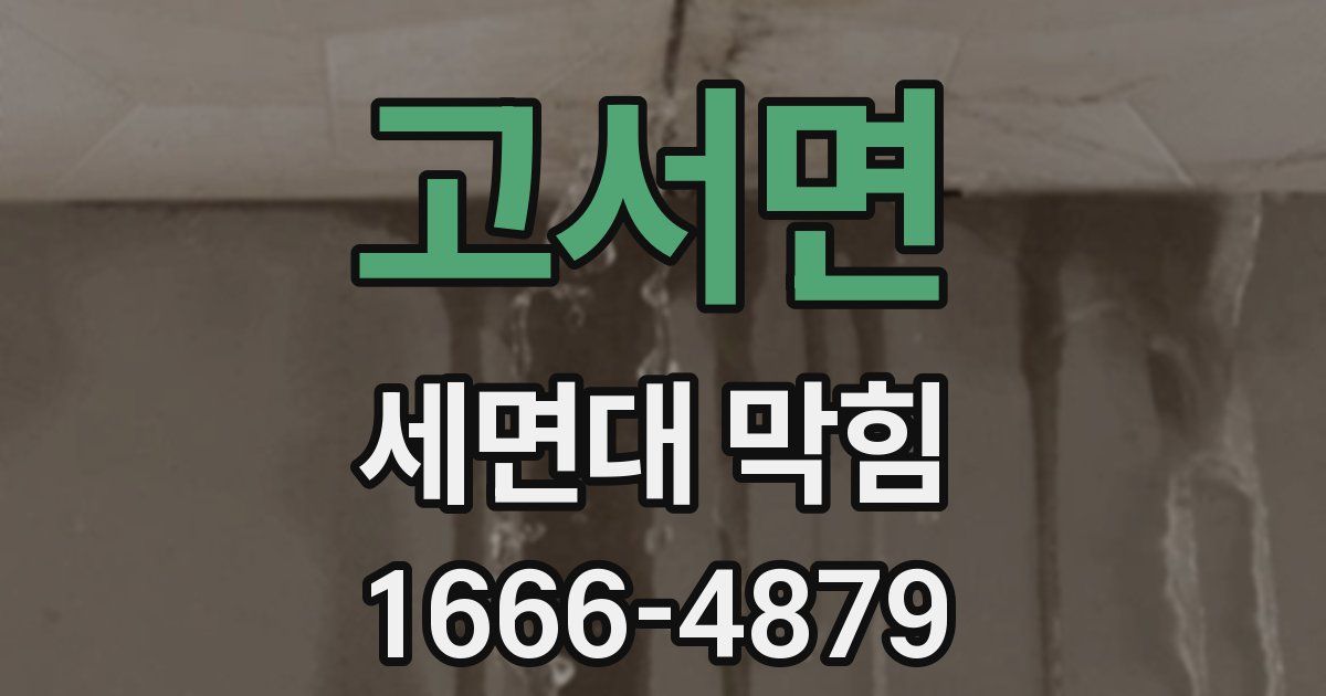 고서면 세면대 막힘