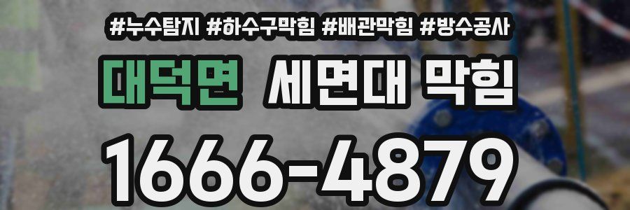 대덕면 세면대 막힘