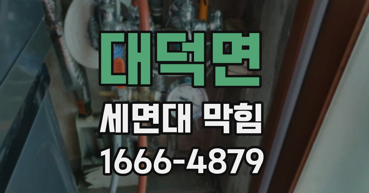 대덕면 세면대 막힘