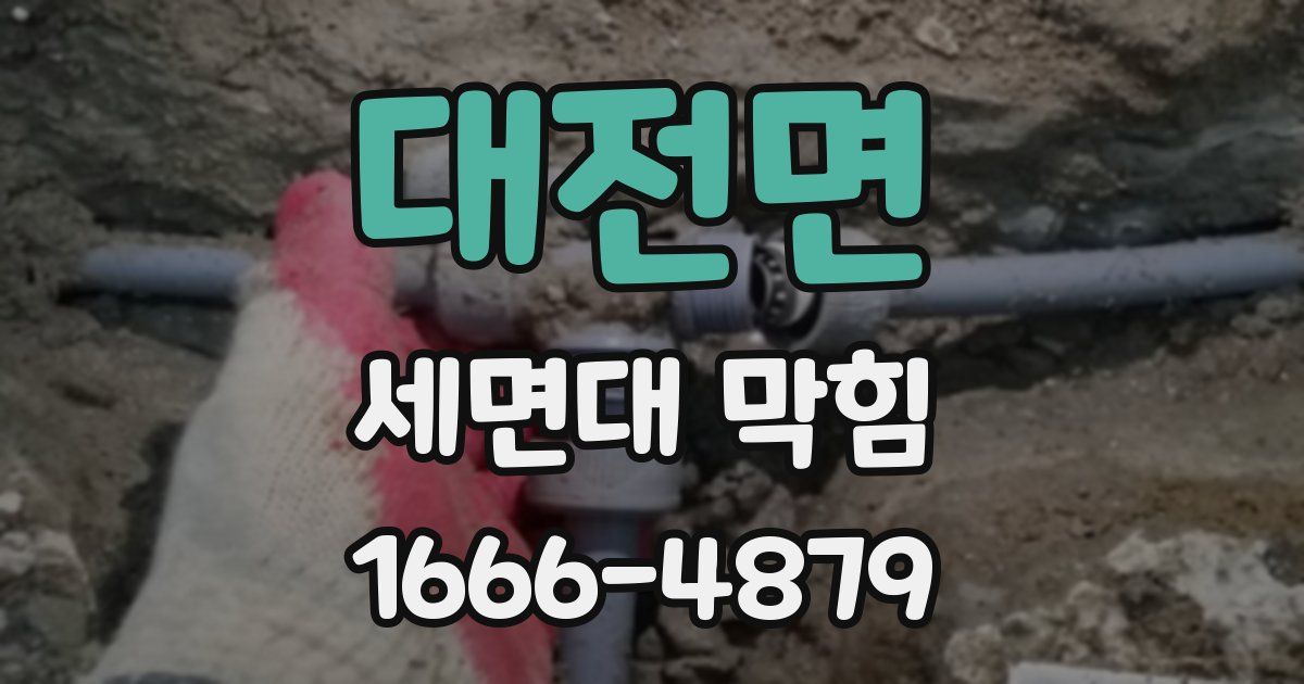 대전면 세면대 막힘