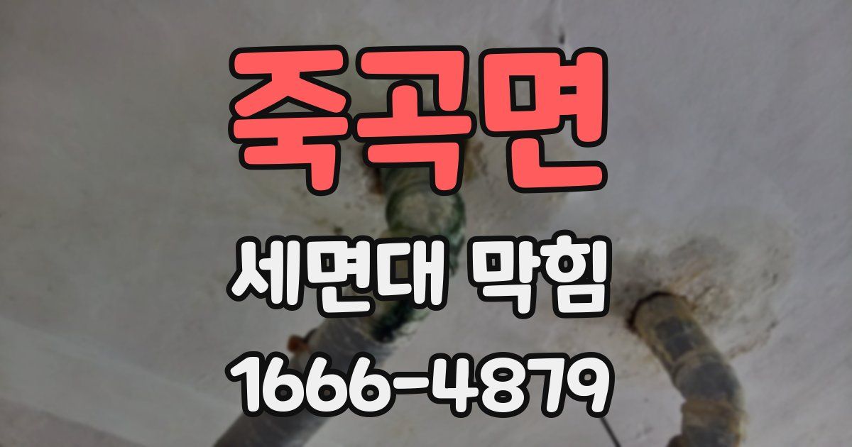 죽곡면 세면대 막힘