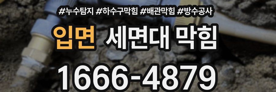 입면 세면대 막힘