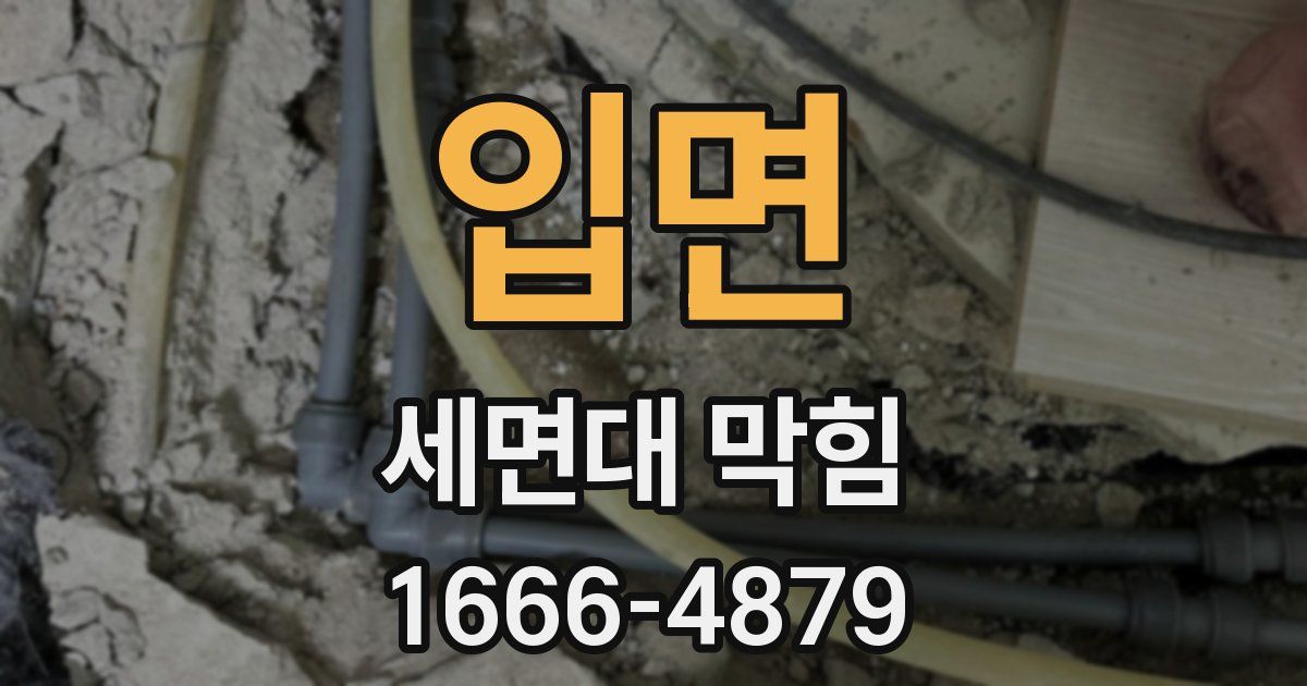 입면 세면대 막힘