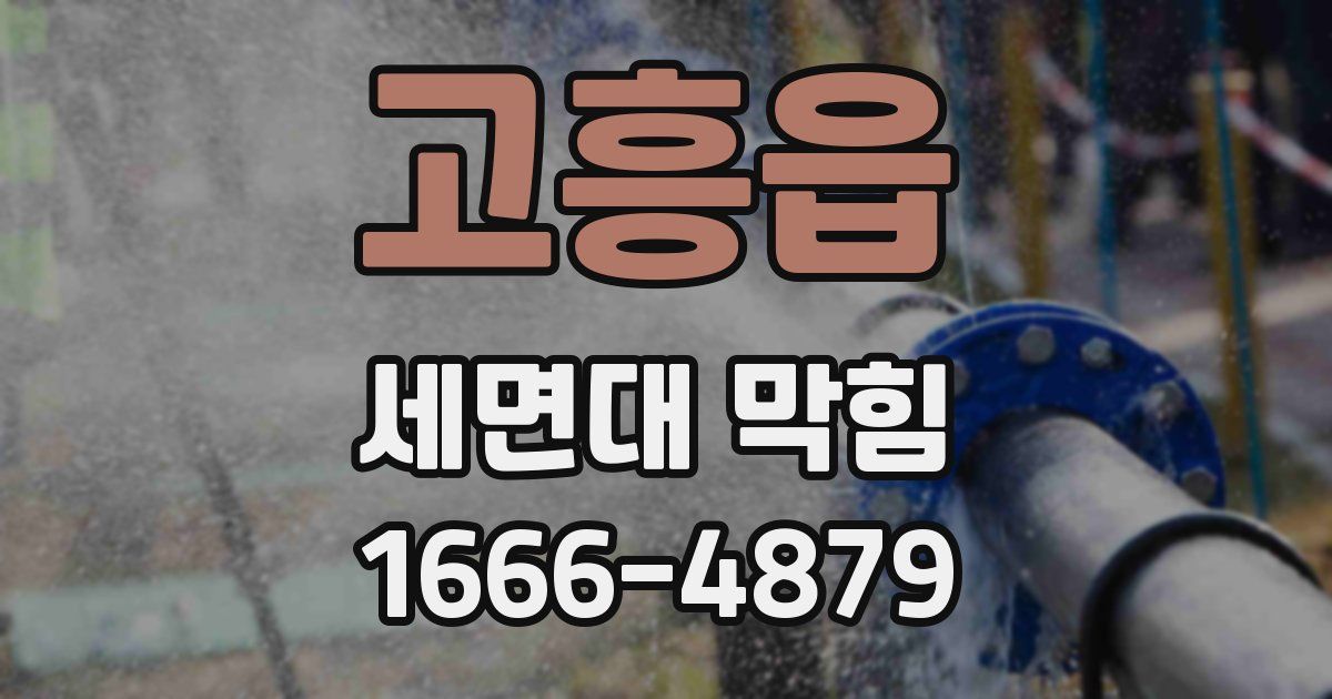 고흥읍 세면대 막힘