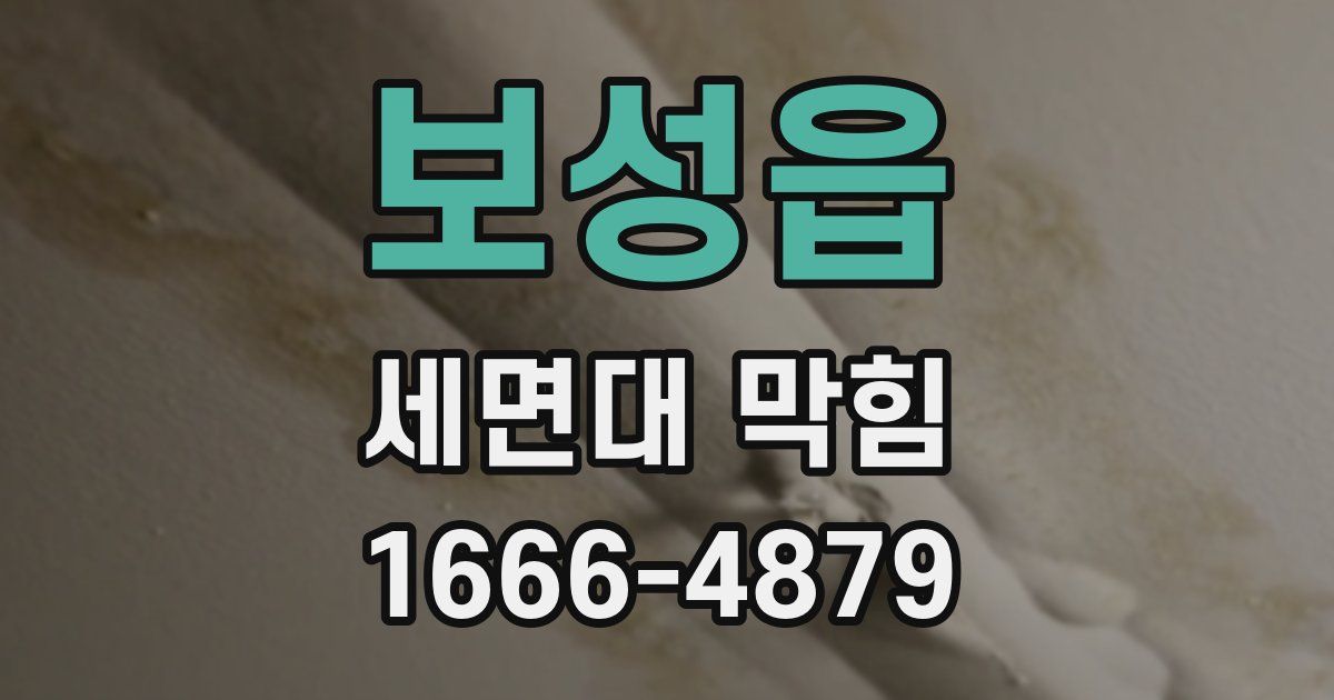 보성읍 세면대 막힘