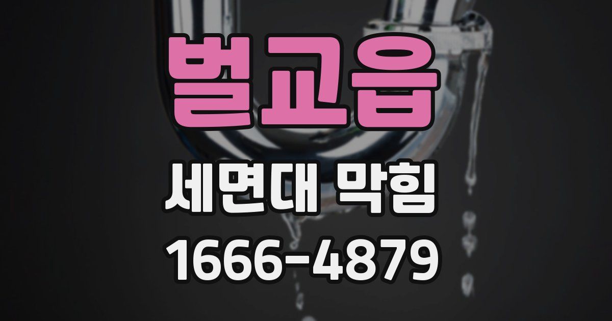 벌교읍 세면대 막힘
