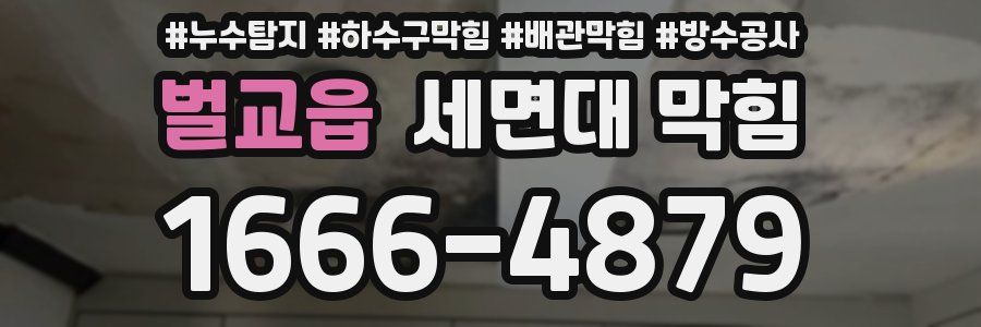 벌교읍 세면대 막힘