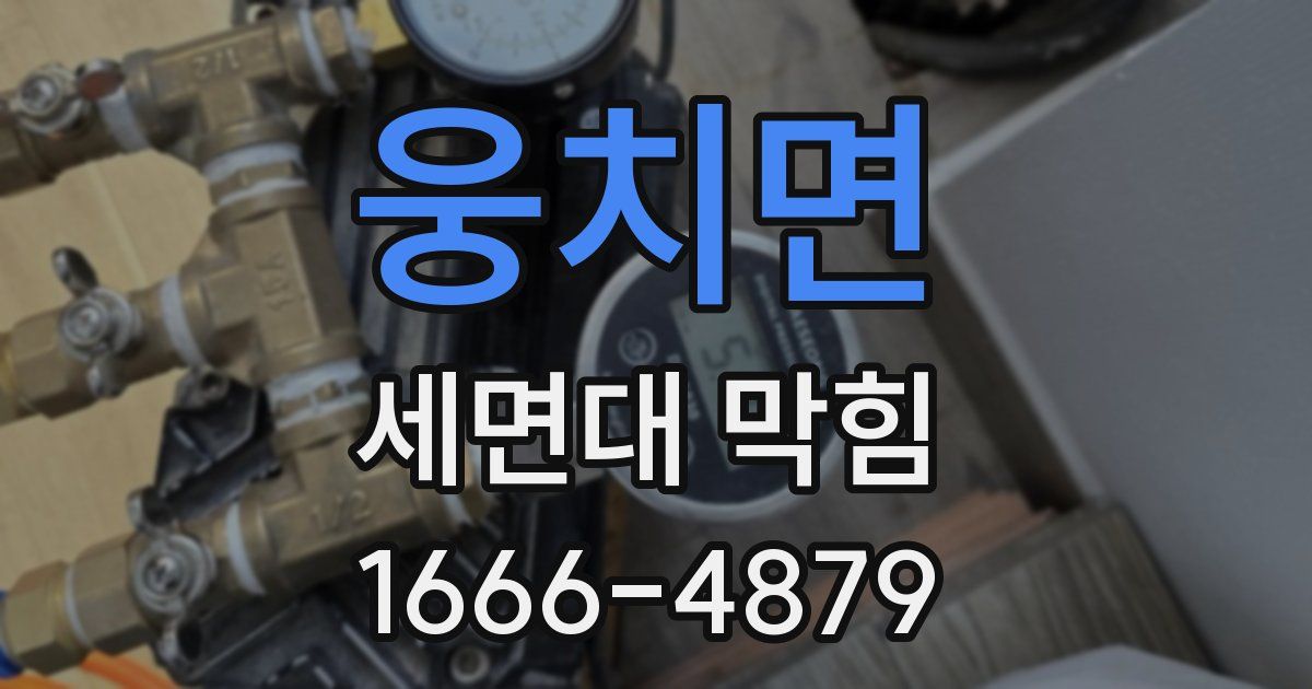 웅치면 세면대 막힘