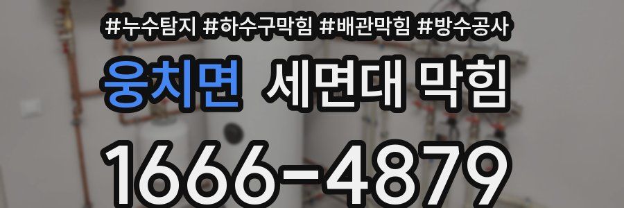 웅치면 세면대 막힘