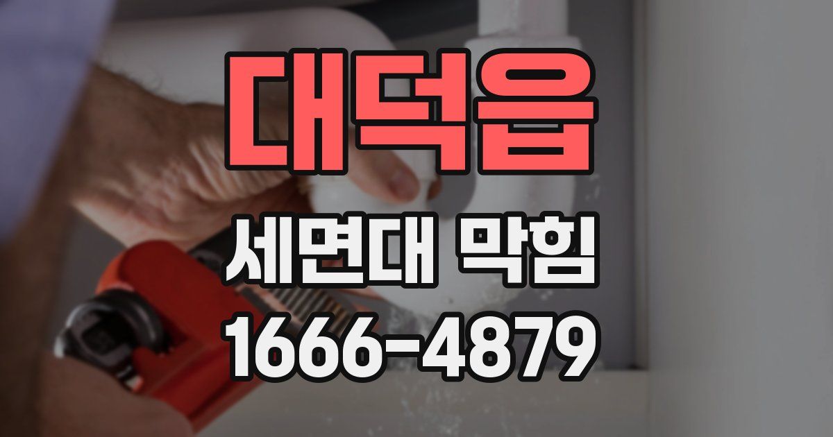 대덕읍 세면대 막힘