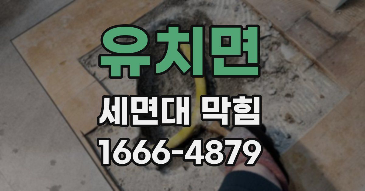 유치면 세면대 막힘