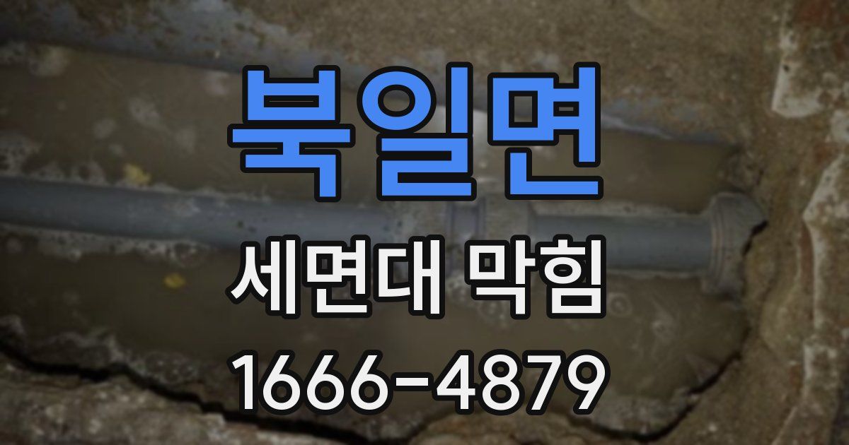 북일면 세면대 막힘