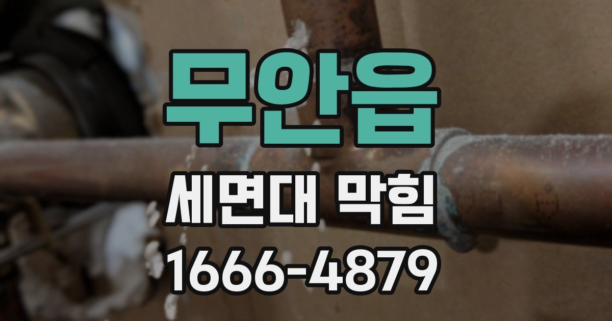 무안읍 세면대 막힘