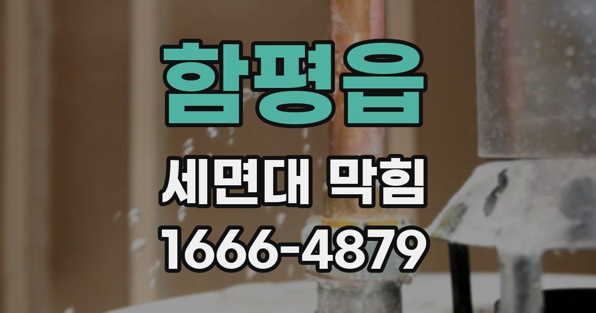 함평읍 세면대 막힘