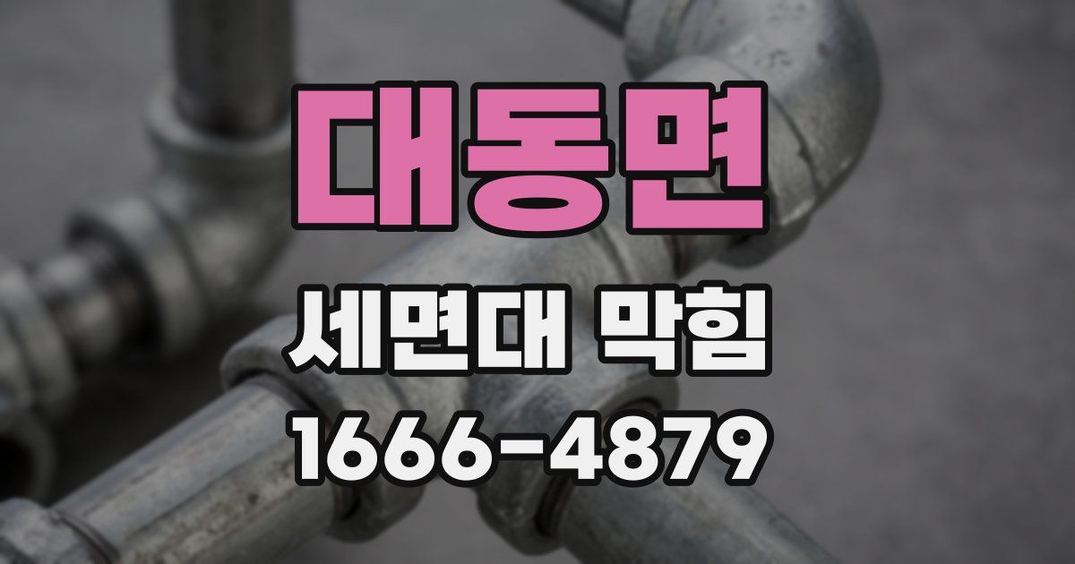 대동면 세면대 막힘