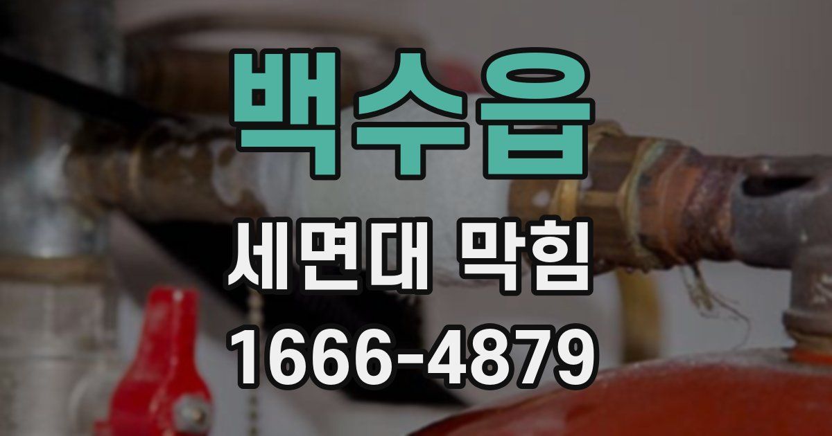 백수읍 세면대 막힘
