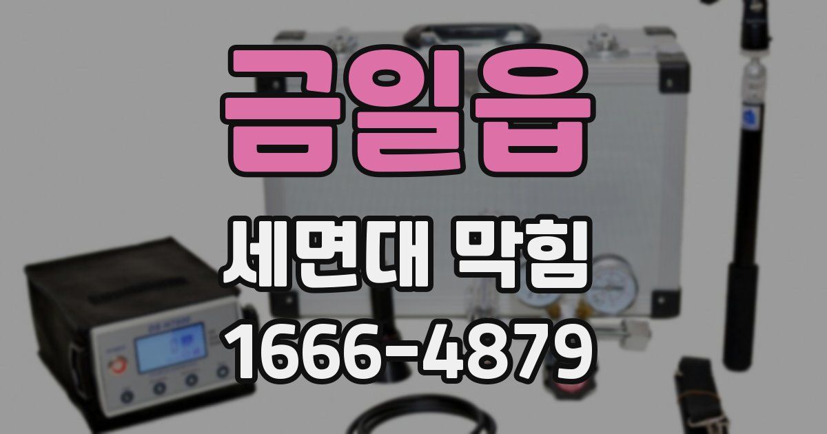 금일읍 세면대 막힘