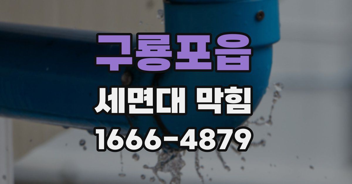 구룡포읍 세면대 막힘