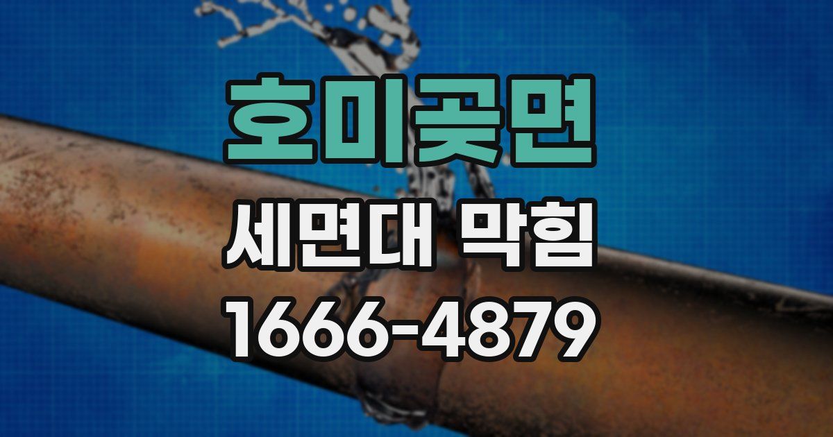 호미곶면 세면대 막힘