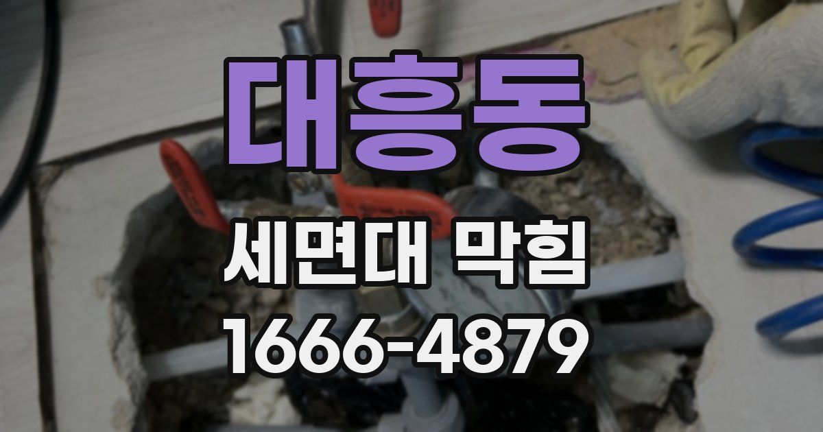 대흥동 세면대 막힘
