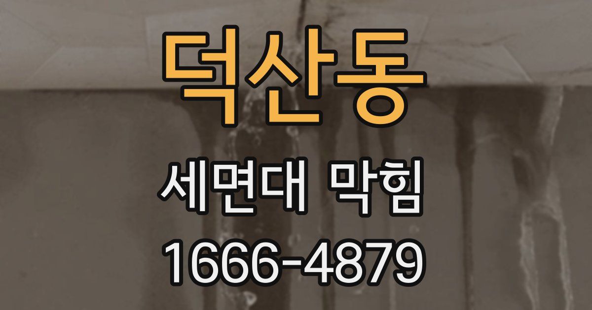 덕산동 세면대 막힘