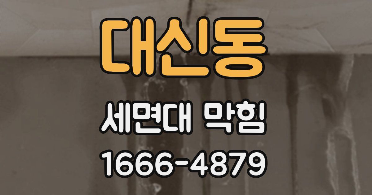 대신동 세면대 막힘